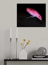 Flying Rose Poster och Canvastavla