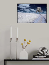 tree Poster och Canvastavla
