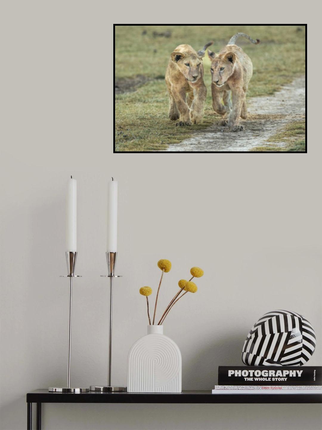 The boys Poster och Canvastavla