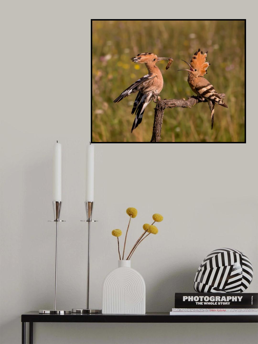 Lovely Couple Poster och Canvastavla