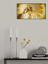 Just like the Sun Poster och Canvastavla
