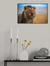 Kitty Wet Hair Day Poster och Canvastavla