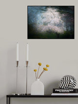 Cherry dream Poster och Canvastavla