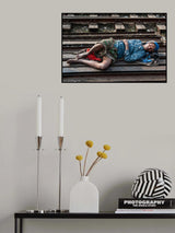 Poster och Canvastavla