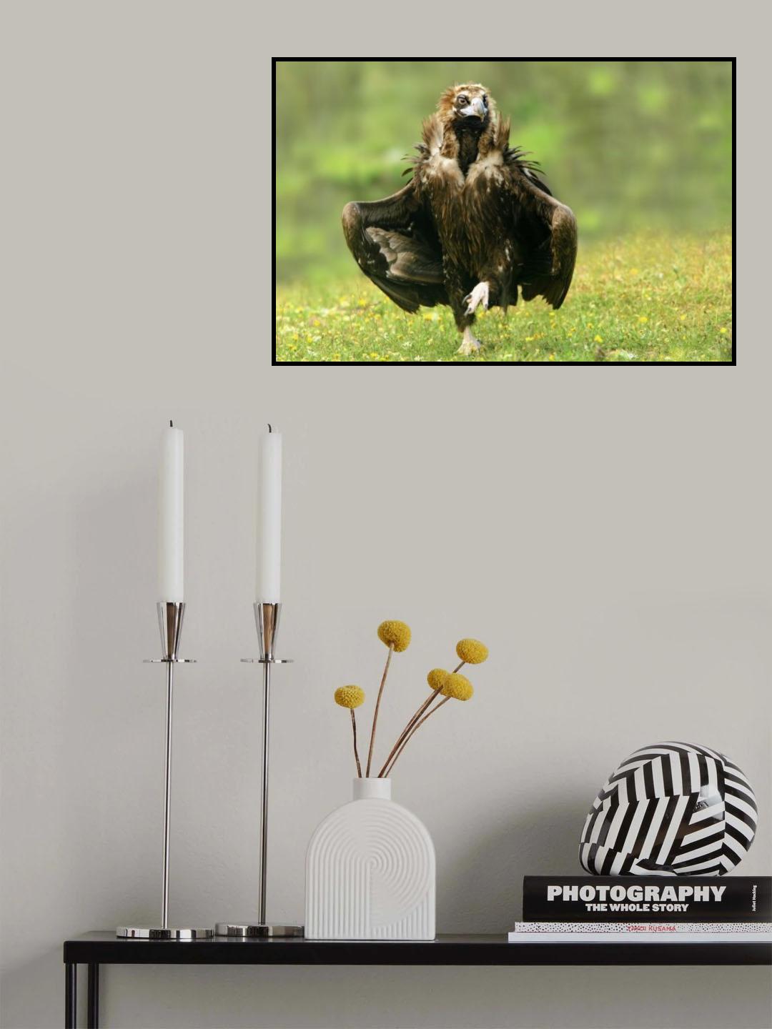 Step Dancing Poster och Canvastavla