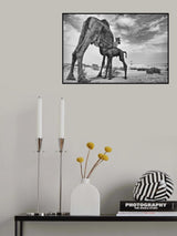 Feeding Poster och Canvastavla