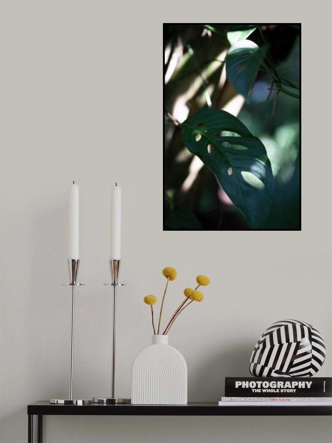 Monstrea Leaves Nature_2 Poster och Canvastavla