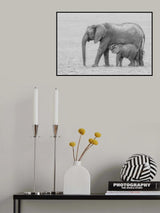 It's feeding time! Poster och Canvastavla