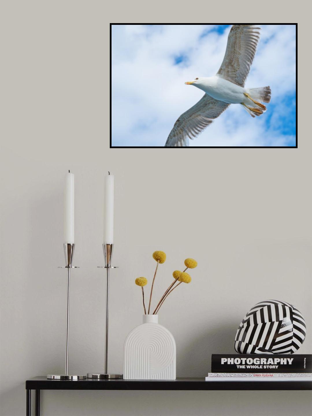 flying seagull Poster och Canvastavla