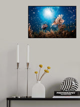 Lionfish Poster och Canvastavla