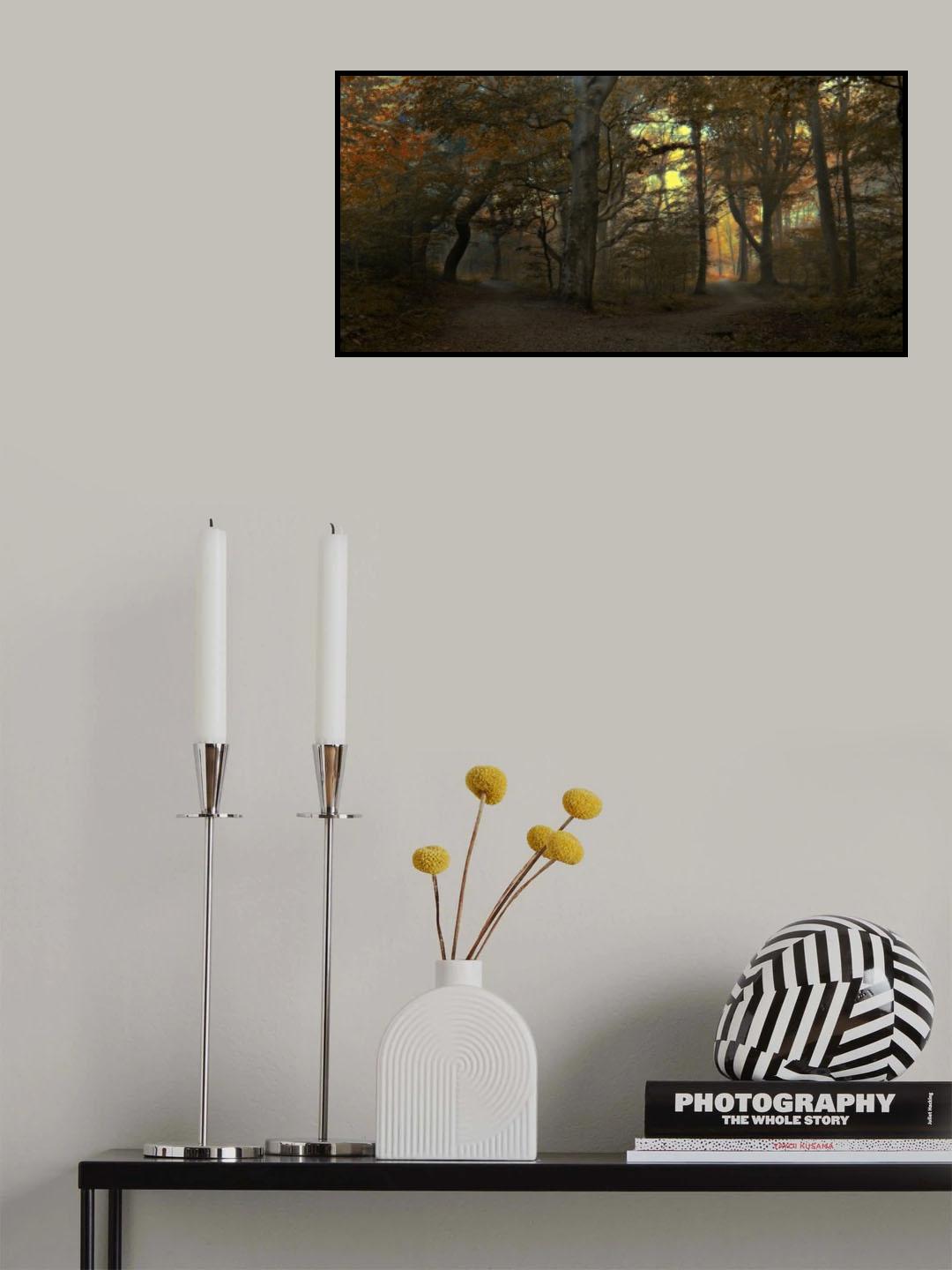 Which path Poster och Canvastavla