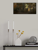 Which path Poster och Canvastavla