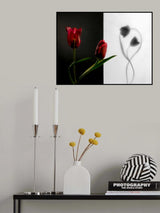 Tulip Poster och Canvastavla
