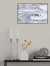 Rest is over Poster och Canvastavla