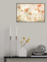 Poppies in the field Poster och Canvastavla