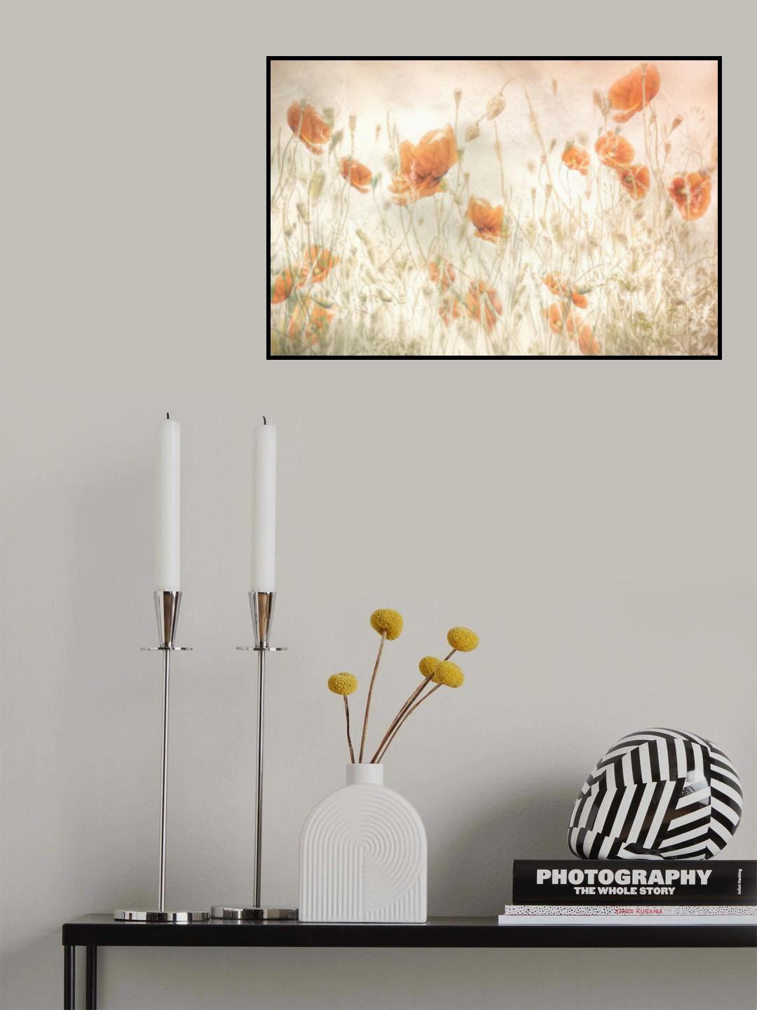 Poppies in the field Poster och Canvastavla