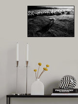 Puzzled Poster och Canvastavla