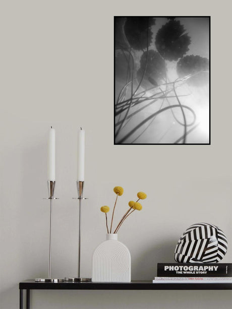 Water Lilly 02 Poster och Canvastavla
