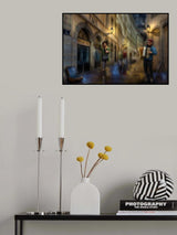 '...the accordion player...' Poster och Canvastavla