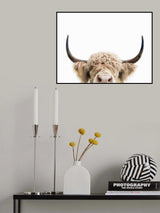 Peeking Cow Poster och Canvastavla