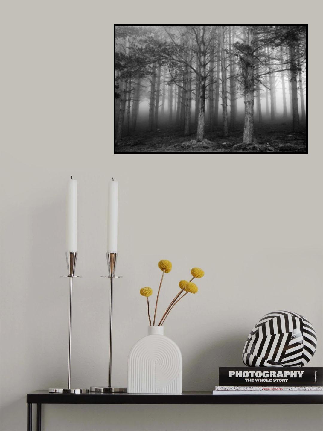 The Shape of Trees 05 Poster och Canvastavla