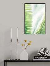 Light Palm tree leaves_2 Poster och Canvastavla