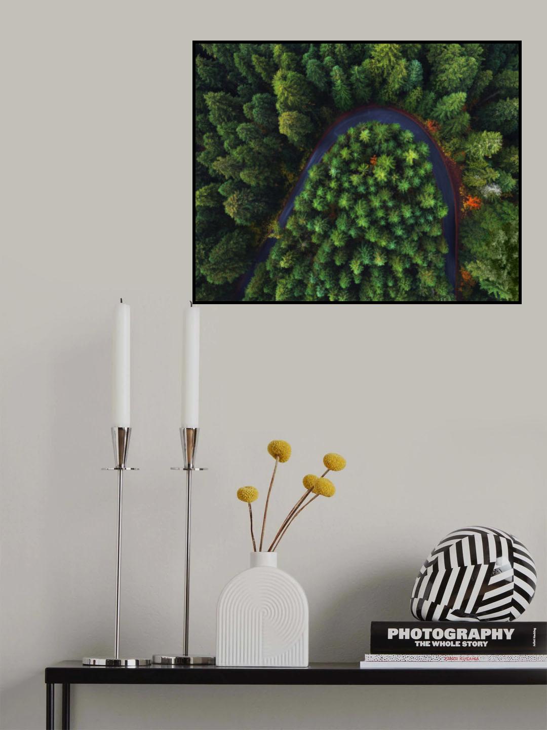 Through the Forest Poster och Canvastavla