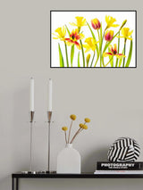 Vibrant Spring Poster och Canvastavla