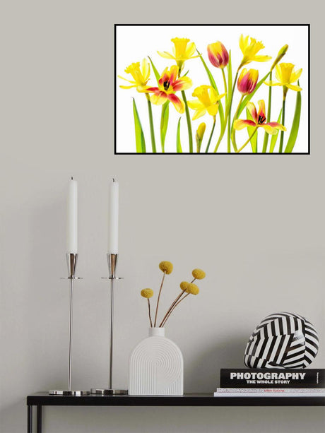 Vibrant Spring Poster och Canvastavla