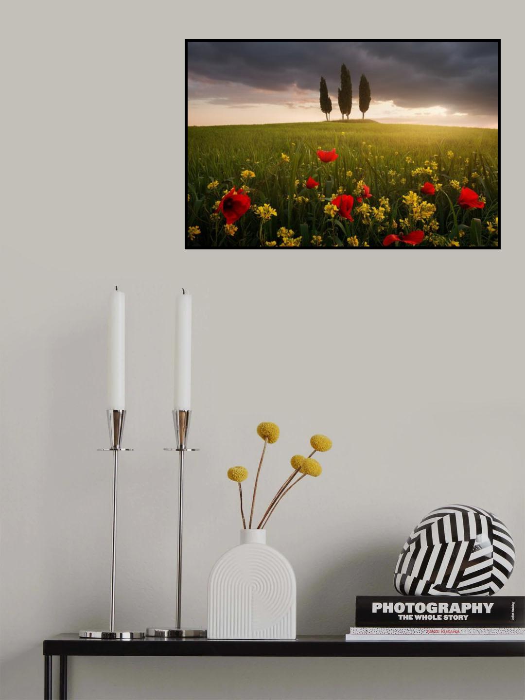Blooming Tuscany Poster och Canvastavla