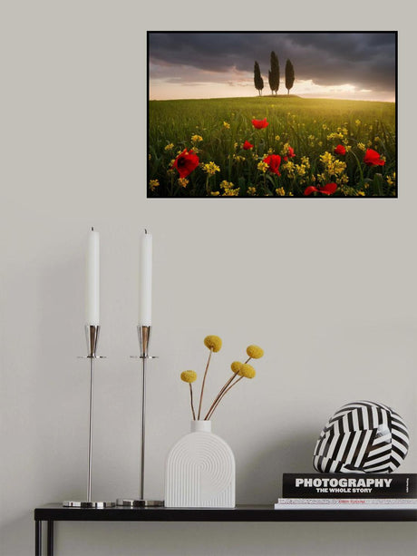 Blooming Tuscany Poster och Canvastavla