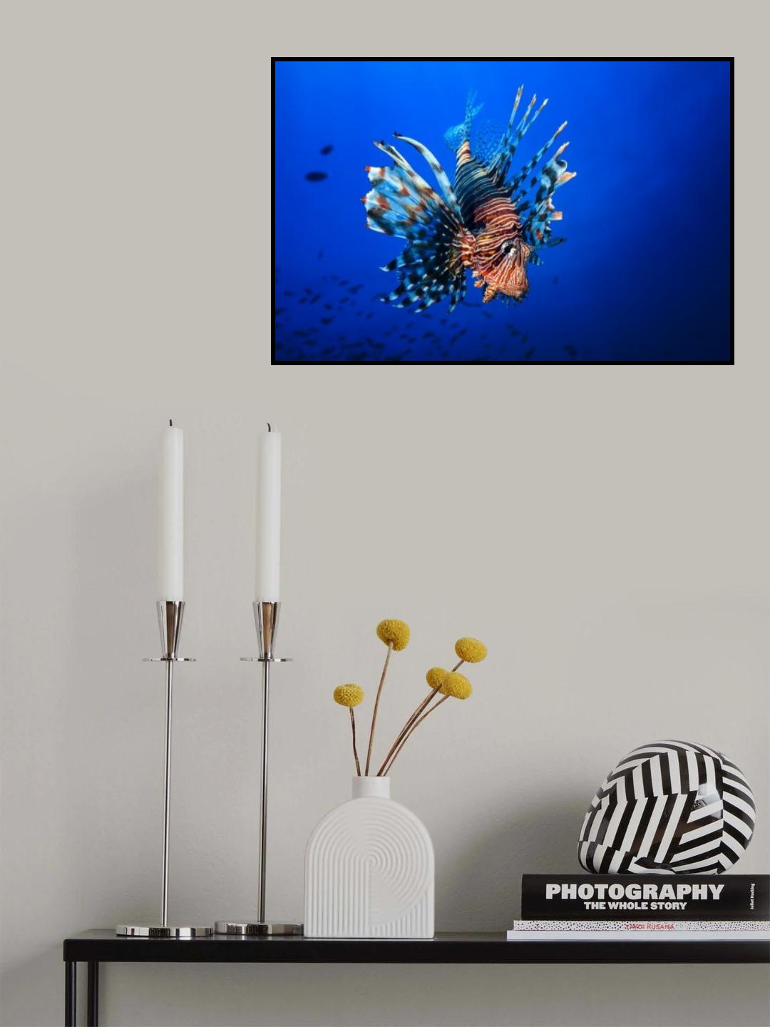 Lionfish Poster och Canvastavla