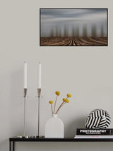 Time to seed ... Poster och Canvastavla