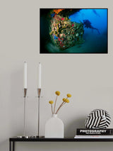 Color Wreck Poster och Canvastavla