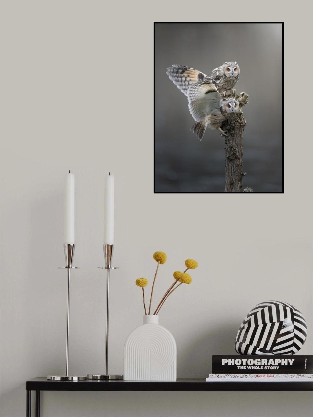Poster och Canvastavla