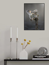 Poster och Canvastavla