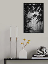 Shadow of autumn leaves Poster och Canvastavla