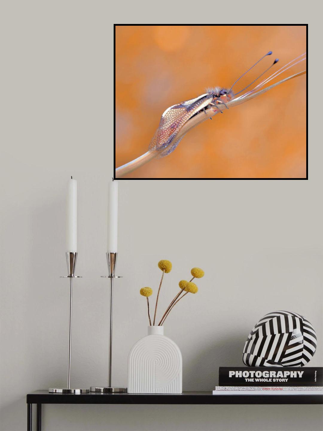 A new day will begin... Poster och Canvastavla
