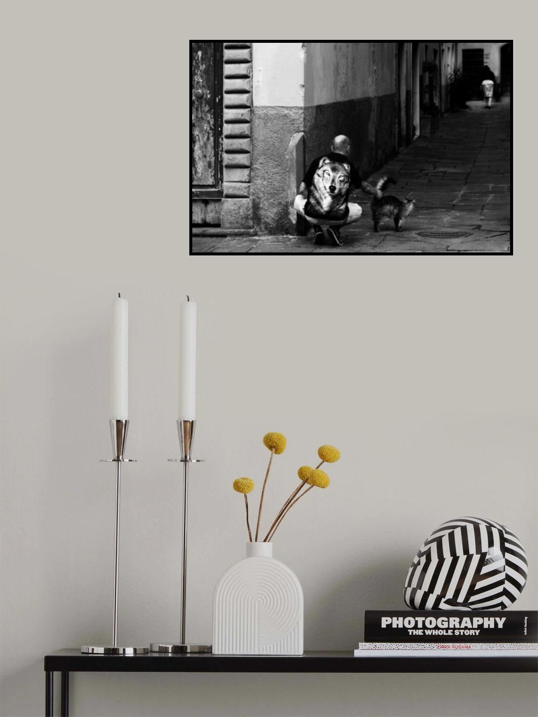 cat and dog Poster och Canvastavla