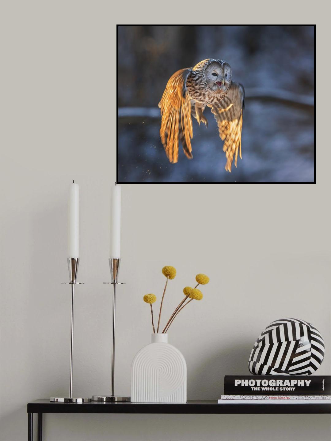 The Owl Poster och Canvastavla