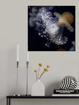 Jellyfish Poster och Canvastavla