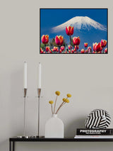 Tulips and Mt. Fuji Poster och Canvastavla