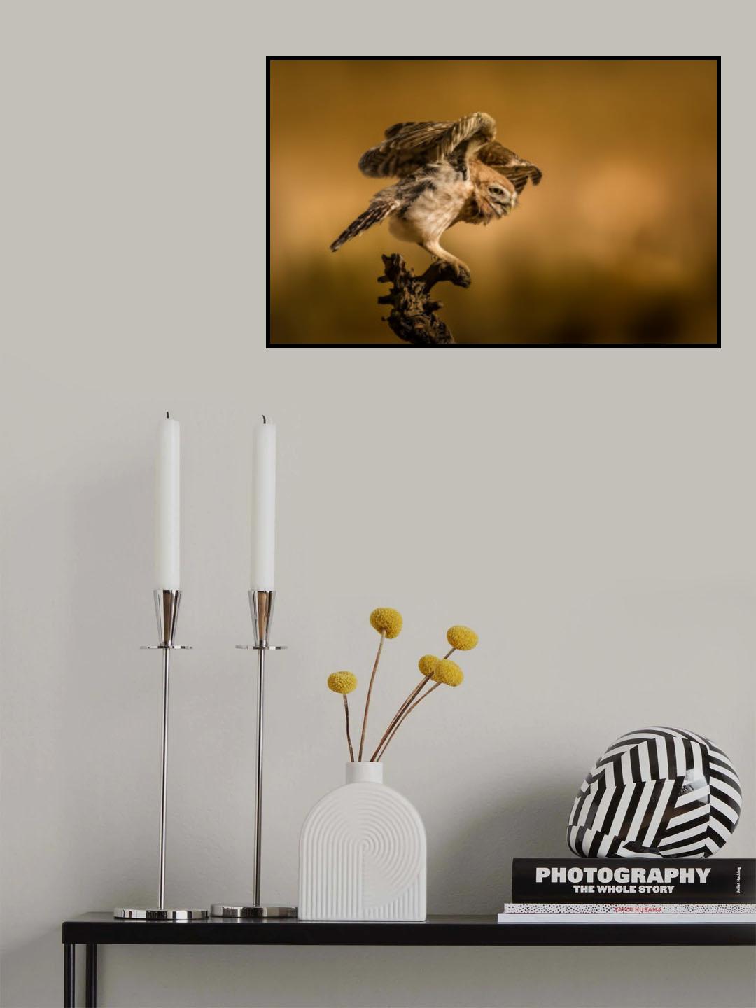 Streaching out Poster och Canvastavla