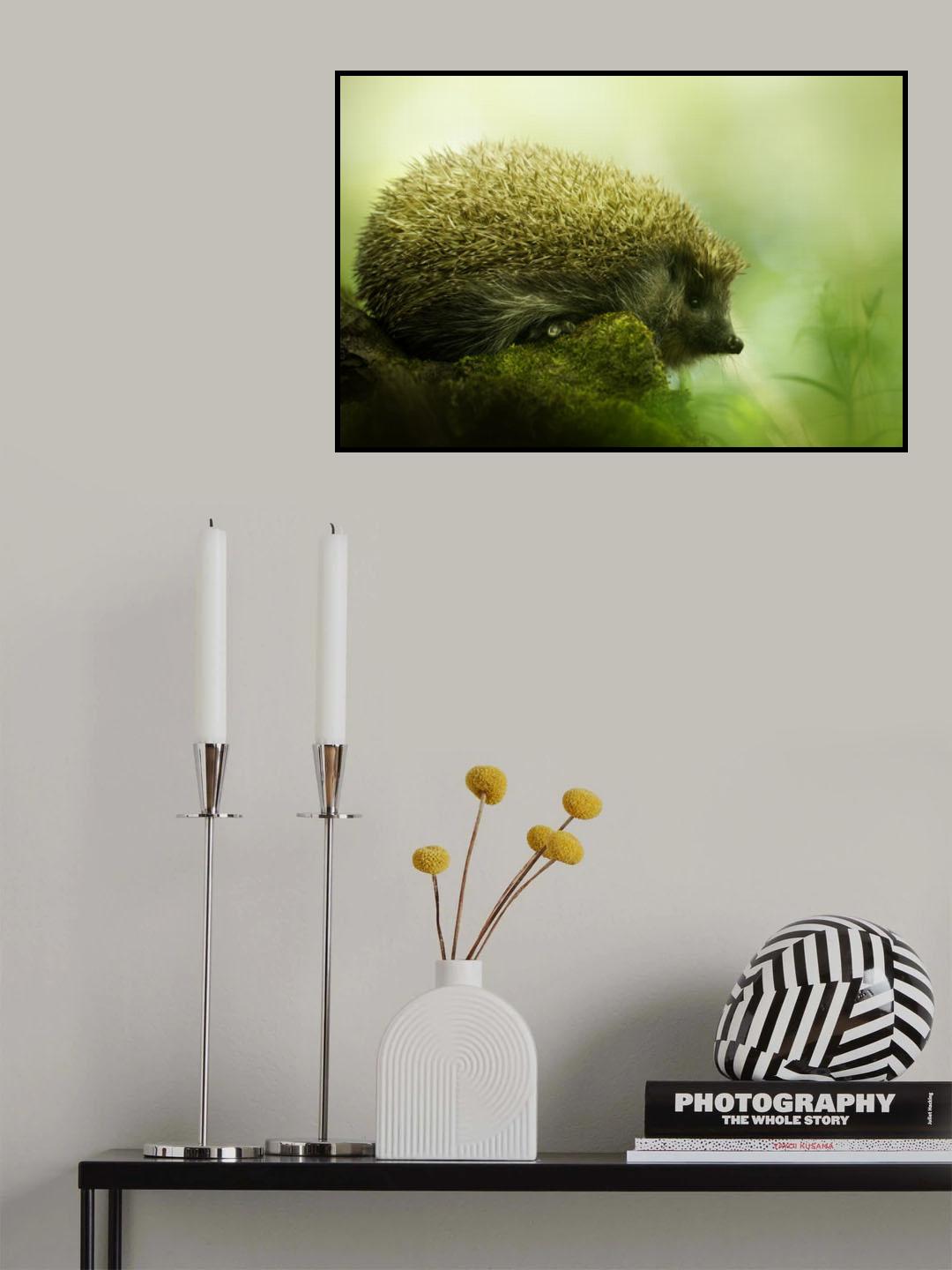Hedgehog Poster och Canvastavla