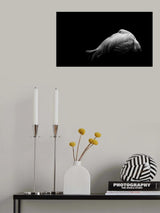 Beauty in Dark Poster och Canvastavla
