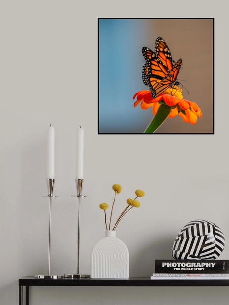 Butterfly Poster och Canvastavla