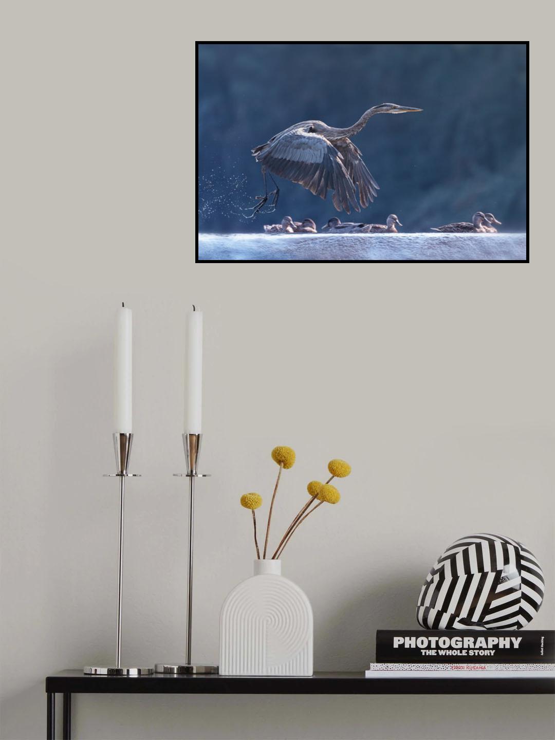 Blue Heron Taking Off Poster och Canvastavla
