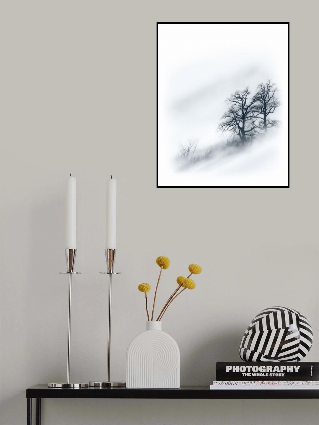 Trees in the mist Poster och Canvastavla