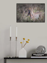 Food is ready Poster och Canvastavla