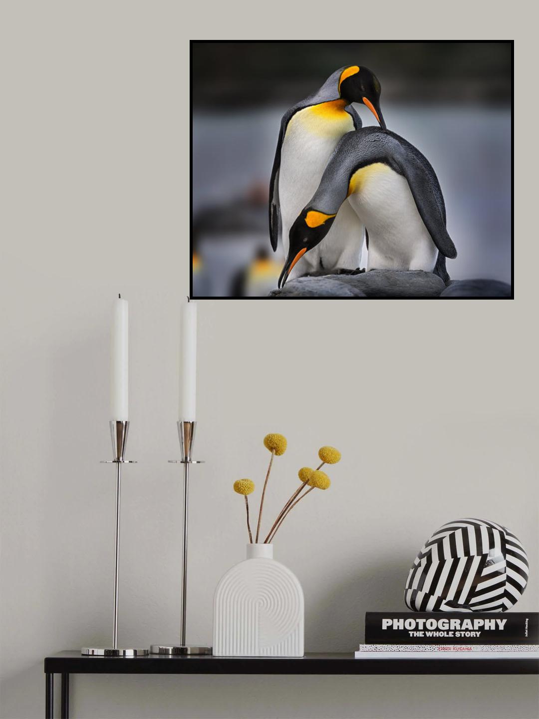 Love story of King Penguins Poster och Canvastavla